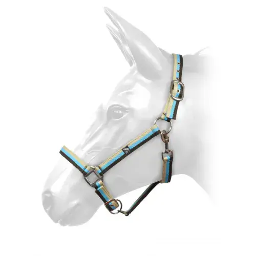 John Whitaker Harvey Headcollar in Brown, Turq, Beige