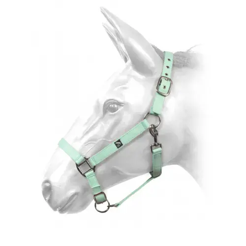 John Whitaker Harvey Headcollar in Mint
