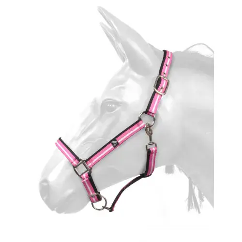 John Whitaker Harvey Headcollar in Pink and White