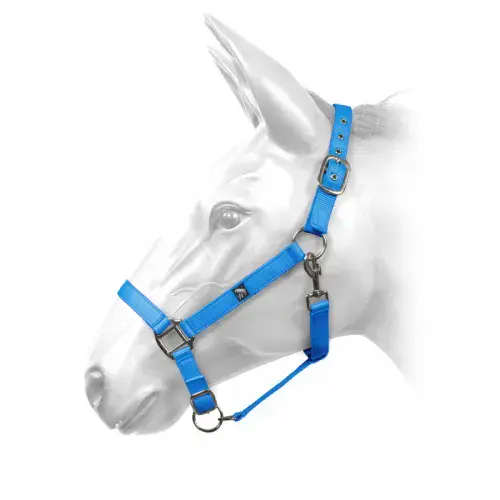 John Whitaker Harvey Headcollar in Turquoise