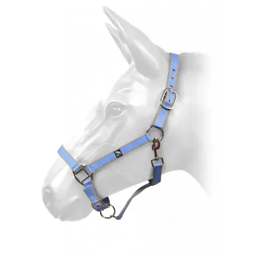 John Whitaker Headcollar with Grey and Light Blue Webbing