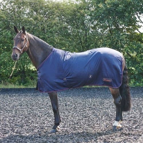 John Whitaker Rastrick Multipurpose Rug