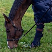 John Whitaker Ready to Ride Headcollar