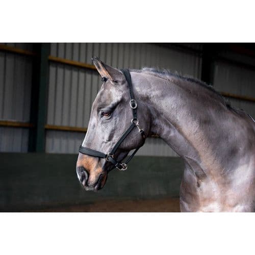 John Whitaker Ready to Ride Headcollar