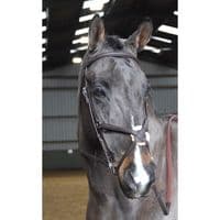 John Whitaker Ready to Ride Mexican Bridle - Saddlemasters
