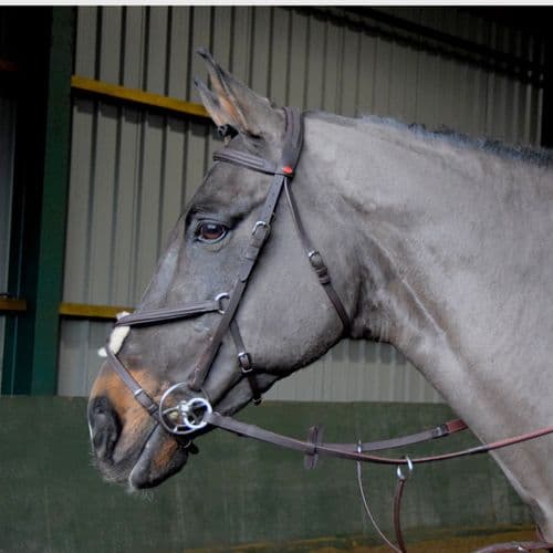 John Whitaker Ready to Ride Mexican Bridle
