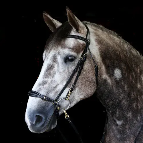 John Whitaker Rome Bridle with Reins - Available in Cob or Full - Black or Havana, Pick'n'Mix