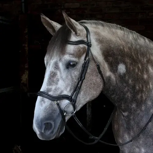 John Whitaker Stockholm Bridle with Reins - Available in Cob or Full - Black or Havana, Pick'n'Mix