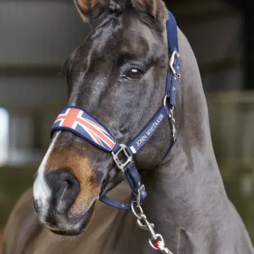 John Whitaker Union Jack Head Collar