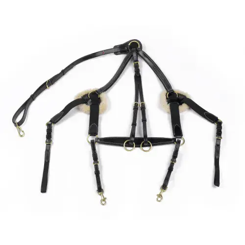 John Whitaker Valencia 5 Point Breastplate