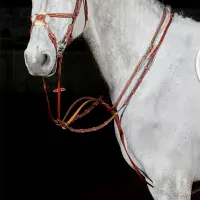 John Whitaker Valencia Luxury Martingale - Saddlemasters