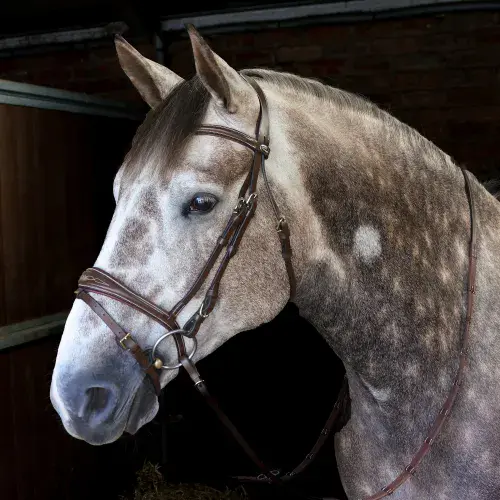 John Whitaker Venice Bridle with Reins - Available in Cob or Full - Black or Havana, Pick'n'Mix