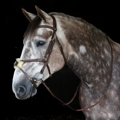 John Whitaker Vienna Bridle with Reins - Available in Cob or Full - Black or Havana, Pick'n'Mix