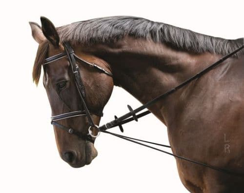 Kincade Elastic Chambon Training Strap