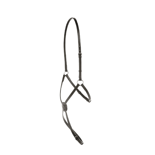 Kincade Grackle Noseband II