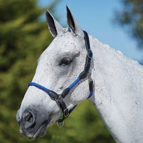 Kincade Leather Rope Headcollar