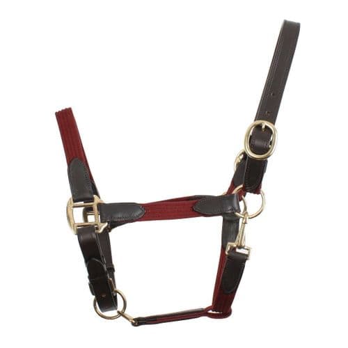 Kincade Leather Web Headcollar