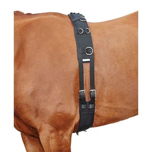 Kincade Lunge Roller With Fleece Padding