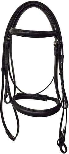 Kincade Raised Cavesson Bridle II