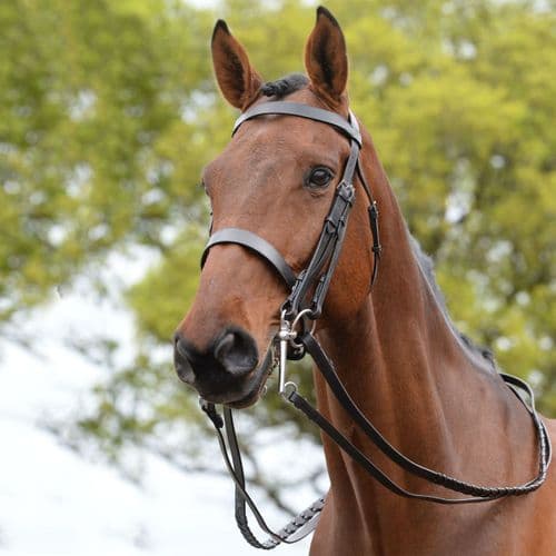 Kincade Show Weymouth Bridle II
