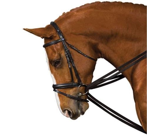 Kincade Web Draw Reins