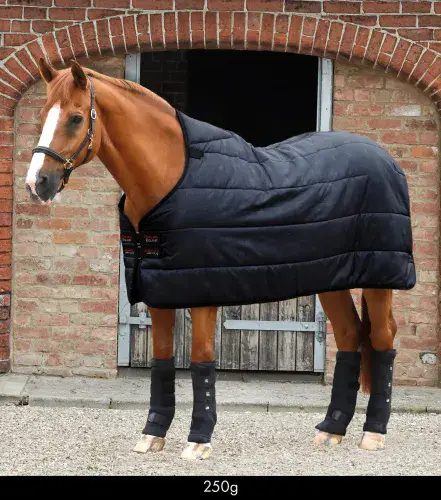 Premier Equine 250g Lucanta Rug Liner