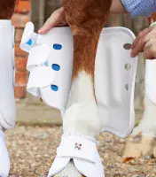 Premier Equine Air Cooled Original Eventing Boots - Saddlemasters