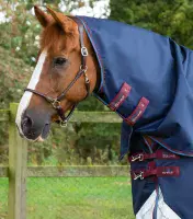 Premier Equine Akoni 0g Turnout Rug with Classic Neck Cover - Saddlemasters