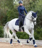 Premier Equine Alberta CC Satin Dressage Square - Saddlemasters