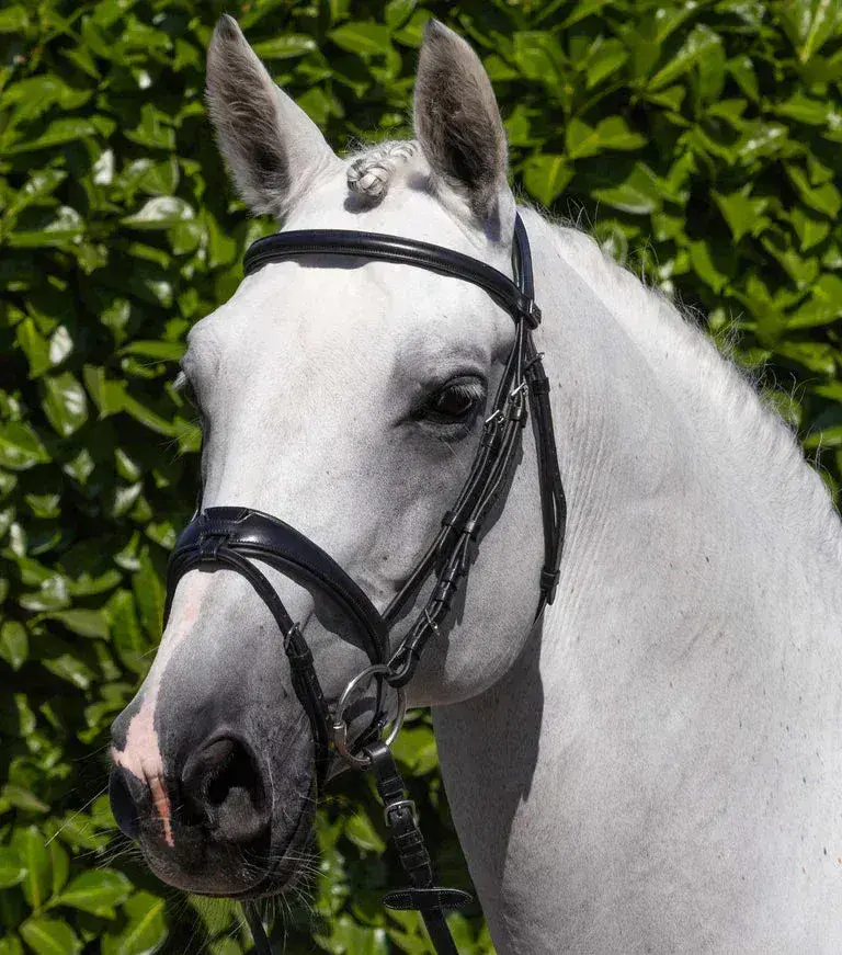 Stübben Fine Line Mullen Mout Snaffle - Equestrian