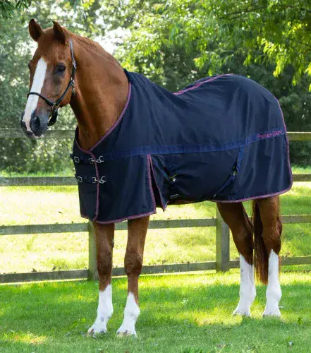 Premier Equine Barrasso Cotton Stable Sheet