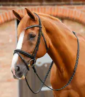 Premier Equine Bellissima Shaped Diamante Browband - Saddlemasters