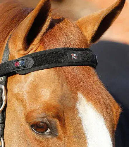 Premier Equine Bi-Polar Magni-Teque Browband