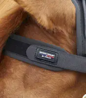 Premier Equine Bi-Polar Magni-Teque Browband - Saddlemasters