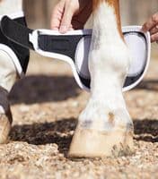 Premier Equine Bi-Polar Magni-Teque Fetlock Boots - Saddlemasters