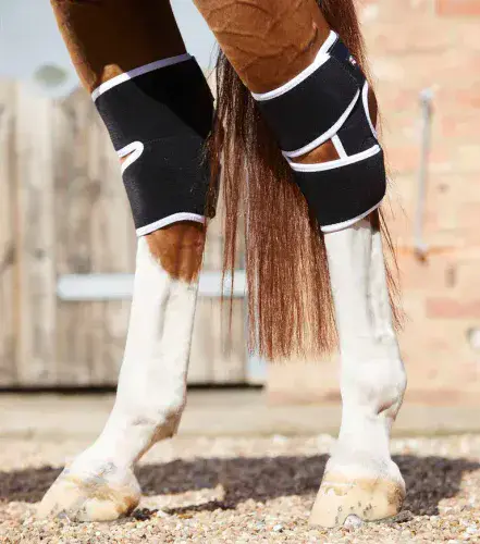 Premier Equine Bi-Polar Magni-Teque Magnetic Hock Boots