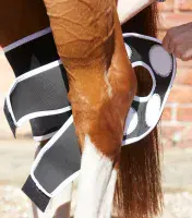 Premier Equine Bi-Polar Magni-Teque Magnetic Hock Boots - Saddlemasters