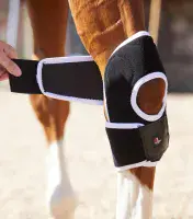 Premier Equine Bi-Polar Magni-Teque Magnetic Hock Boots - Saddlemasters