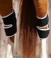 Premier Equine Bi-Polar Magni-Teque Magnetic Hock Boots - Saddlemasters