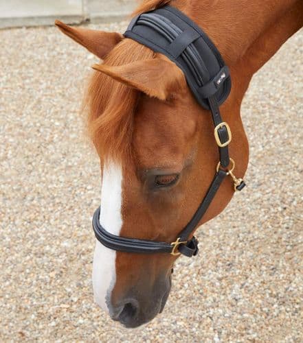 Premier Equine Bi-Polar Magni-Teque Poll Band