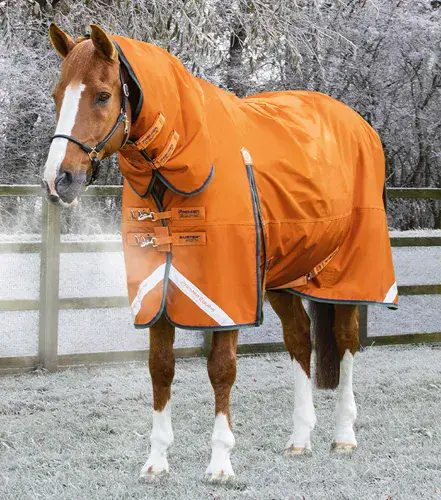 Premier Equine Buster 400g Combo Turnout Rug with classic neck