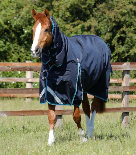 Premier Equine Buster Storm 100g Turnout Rug