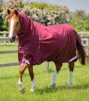 Premier Equine Buster Storm 90g Combo Turnout Rug with Classic Neck - Saddlemasters