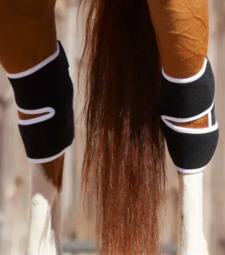 Premier Equine Cascata Ladies Waterproof Jacket