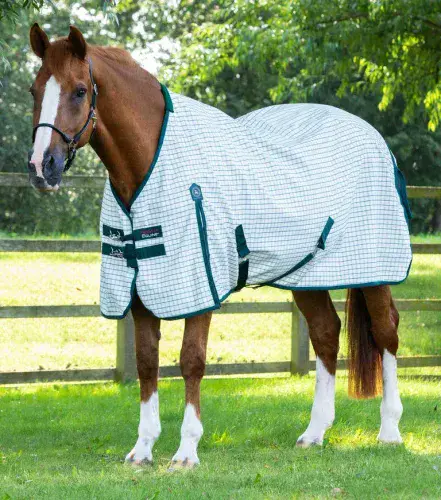Premier Equine Cotton Stable Sheet
