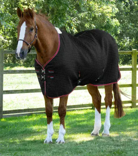 Premier Equine Dry-Tech Cooler