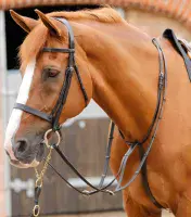 Premier Equine Fuscaldo Running Martingale - Saddlemasters