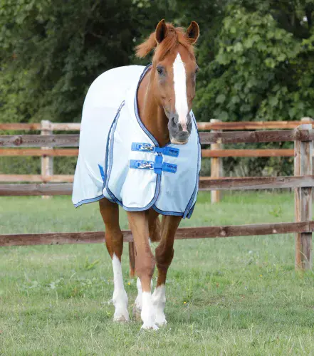 Premier Equine Mesh Air Fly Rug with Surcingles