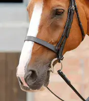 Premier Equine Primo Hunter Cavesson Noseband - Saddlemasters