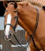 Premier Equine Santadi Adjustable Running Martingale - Saddlemasters